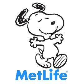 Metlife provider in Beaufort SC
